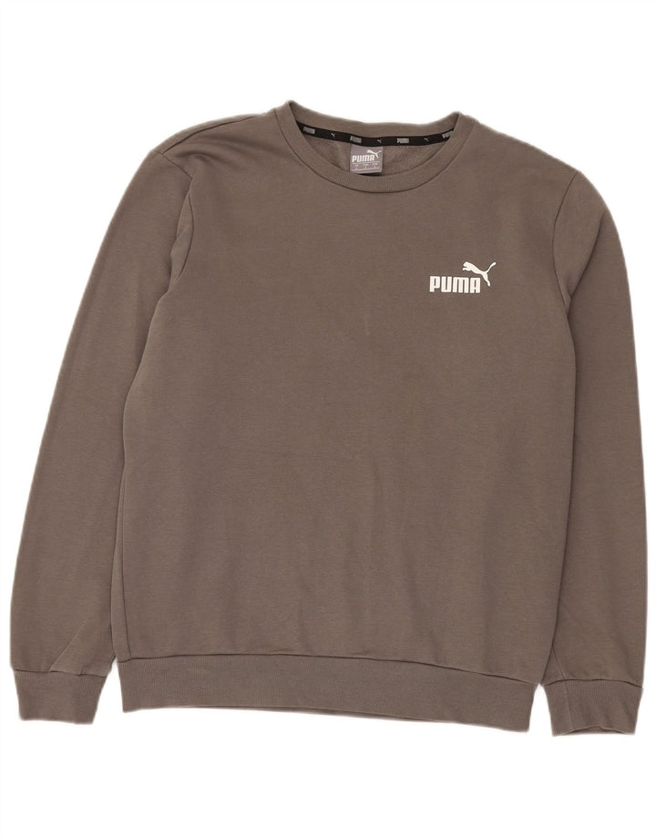 Męska bluza Puma Sweter, mała, szara, bawełniana