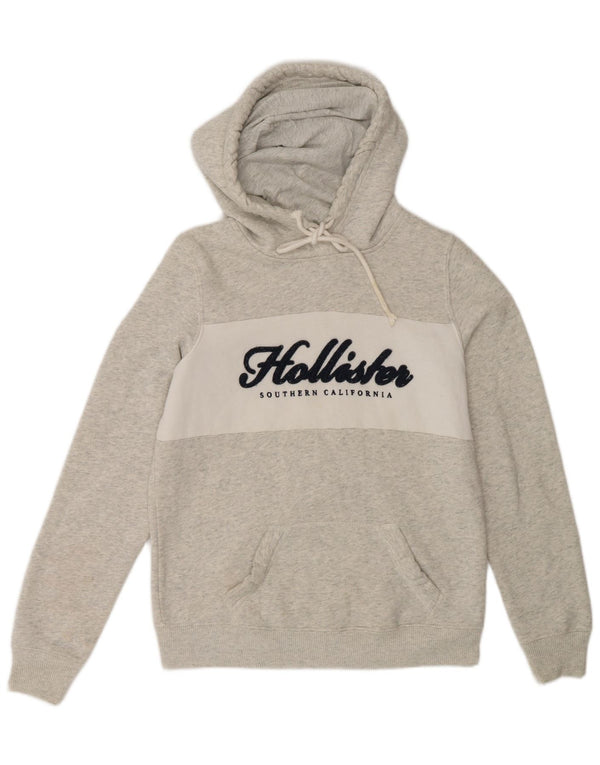 Męski sweter z kapturem Hollister z grafiką, mały, szary, bawełniany w bloki kolorów
