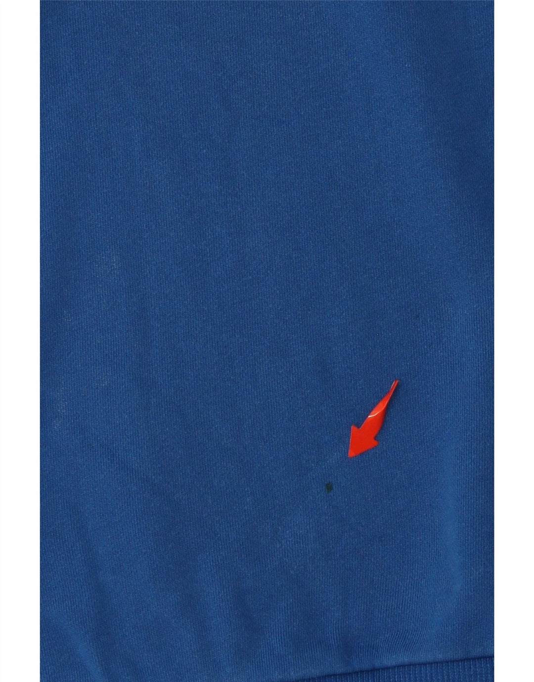 Męska bluza z grafiką DIESEL, średnioniebieska, bawełniana