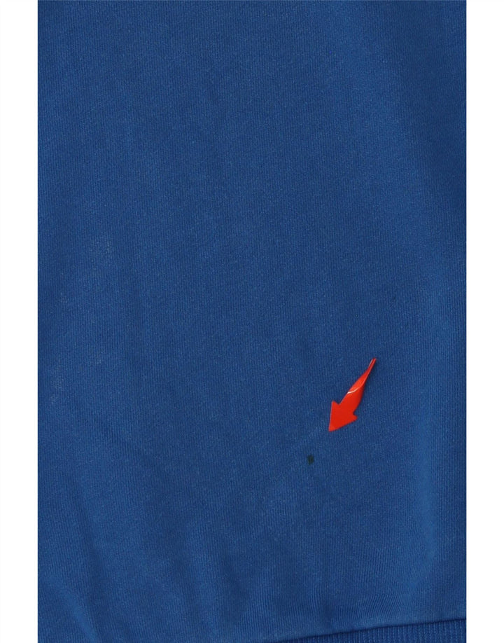 Męska bluza z grafiką DIESEL, średnioniebieska, bawełniana