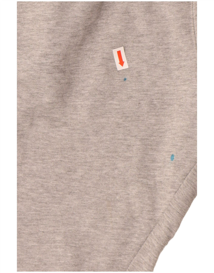 Spodnie dresowe CHAMPION Graphic, duże, szare