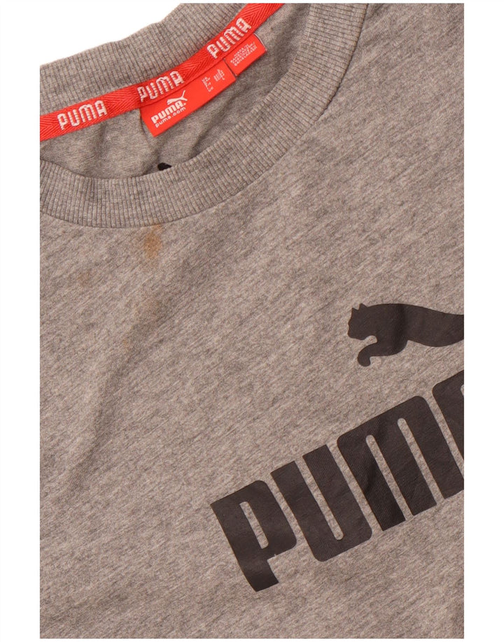Męski T-shirt z grafiką PUMA, duży, szary, bawełniany