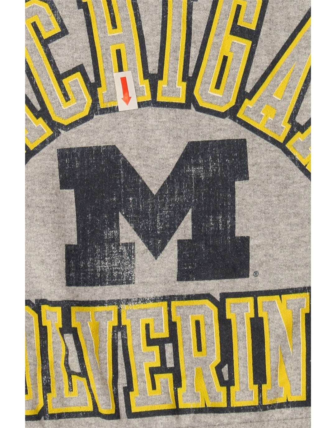 CHAMPION Womens Graphic Sweatshirt Jumper UK 16 Large Grey Vintage Champion and Second-Hand Champion from Messina Hembry 