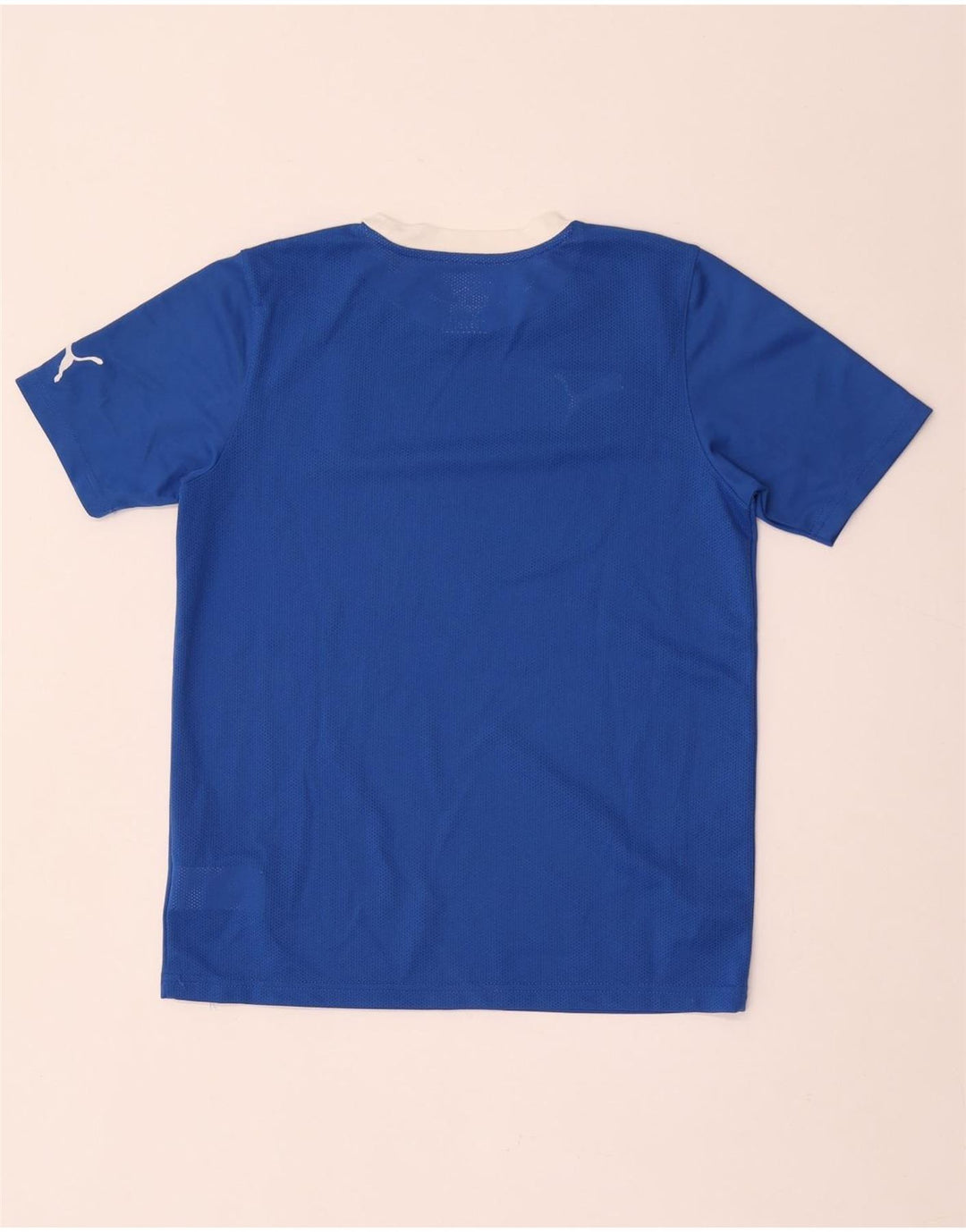 Chłopięcy T-shirt z grafiką Puma, 13-14 lat, niebieski poliester
