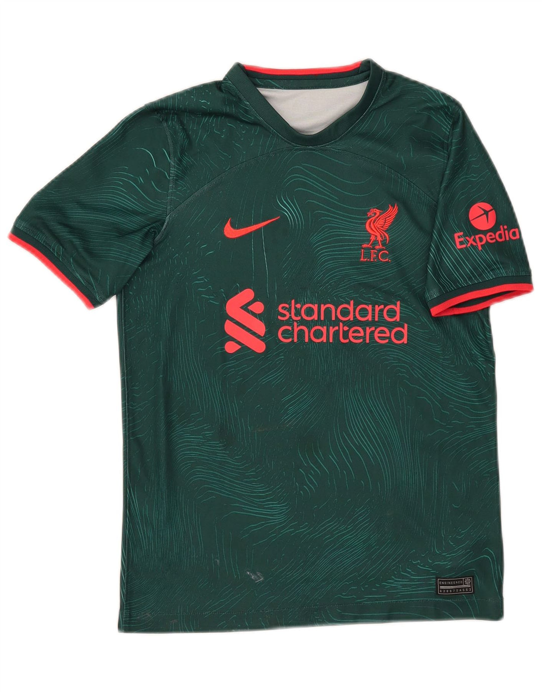 Chłopięcy T-shirt z grafiką NIKE na 11-12 lat, zielony, poliester