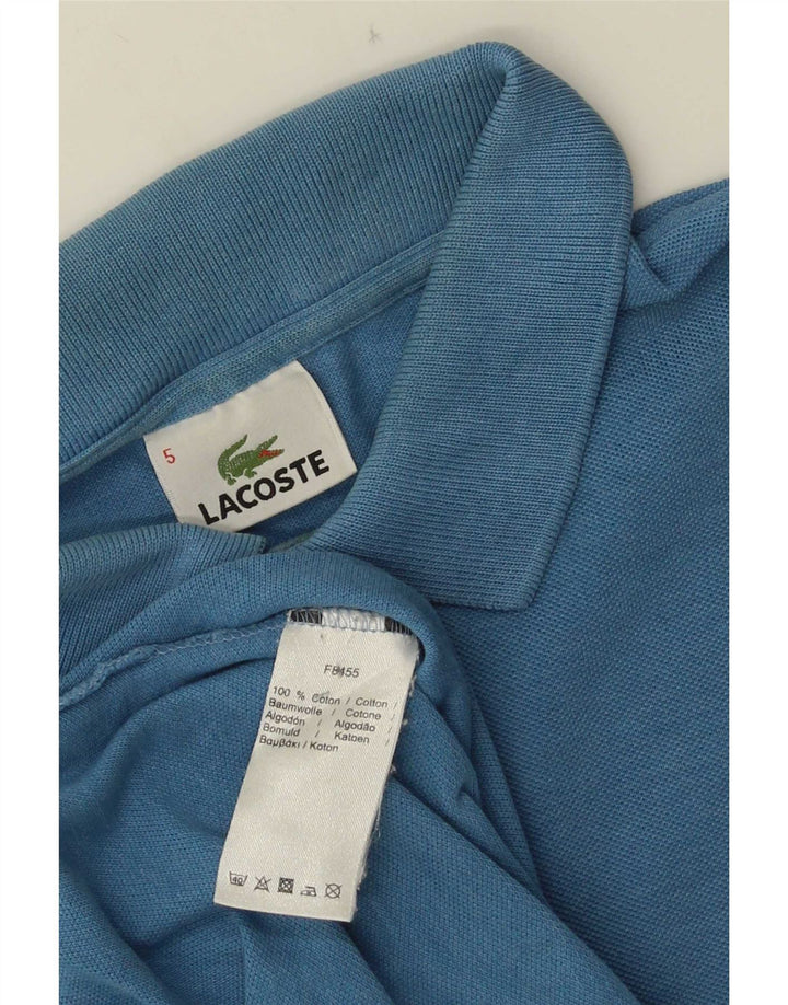 Męska koszulka polo Lacoste, rozmiar 5, duża, niebieska, bawełniana