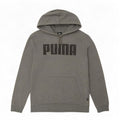 Męska bluza z kapturem Puma z grafiką, mała, szara