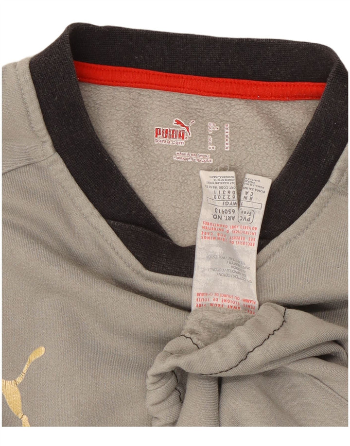 Męska bluza Puma Sweter Średnioszary, bawełniany blok kolorów
