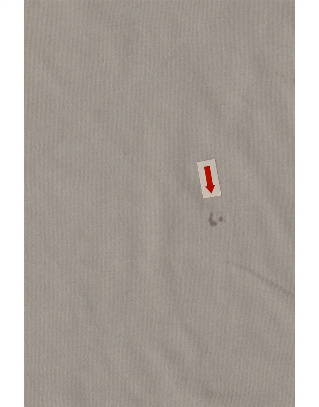 Męski T-shirt z grafiką The North Face, średnioszary, bawełniany