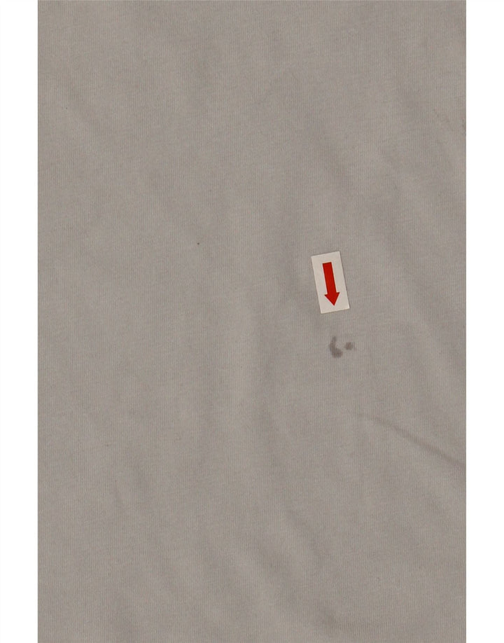 Męski T-shirt z grafiką The North Face, średnioszary, bawełniany
