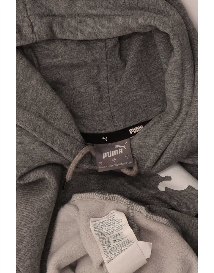 Męski sweter z kapturem Puma z grafiką, mały, szary, bawełniany