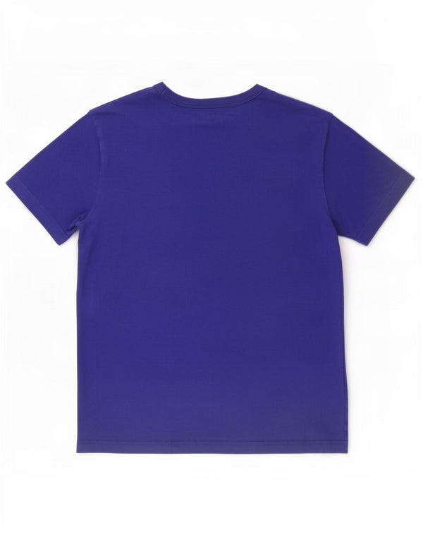 Męski T-shirt Champion z grafiką, mały, niebieski, bawełniany