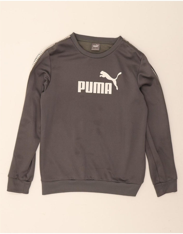 Męska bluza z grafiką Puma, mała, szara, poliestrowa