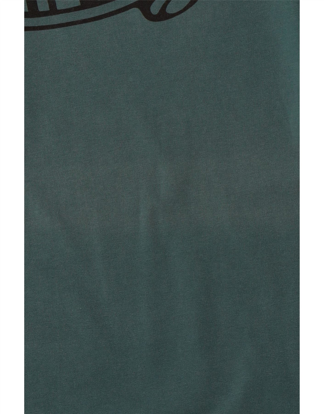 Męski T-shirt z grafiką VANS o dopasowanym kroju, XS, zielony, bawełniany