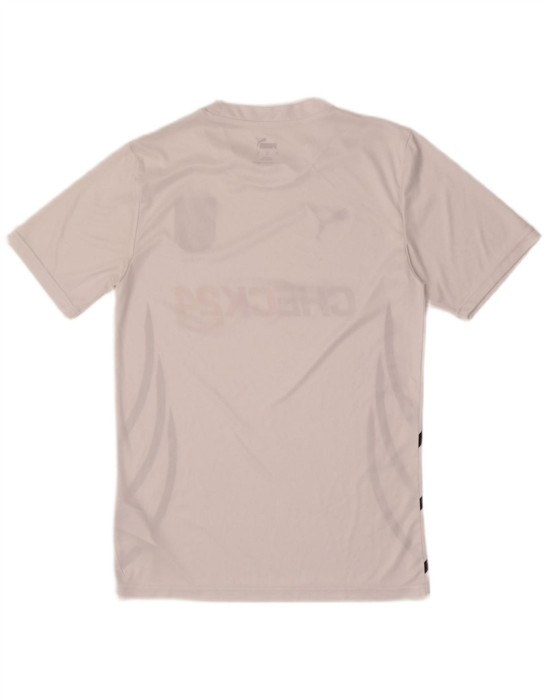 Męski T-shirt Puma Deutshland z grafiką, mały, biały poliester z blokami kolorów