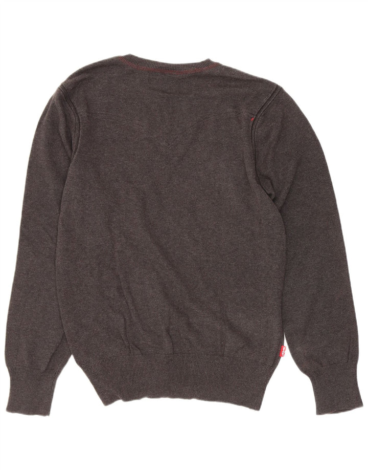 Męski sweter Levi's z dekoltem w kształcie litery V, mały, szary, bawełniany