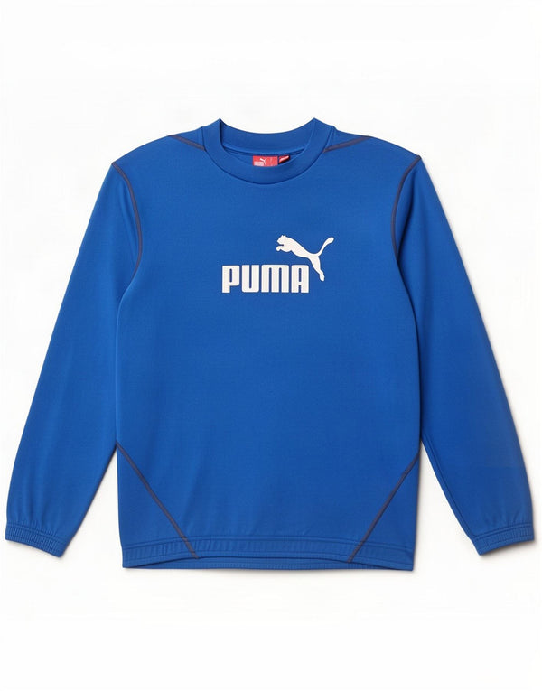 Puma Męska bluza graficzna Jumper Small Blue