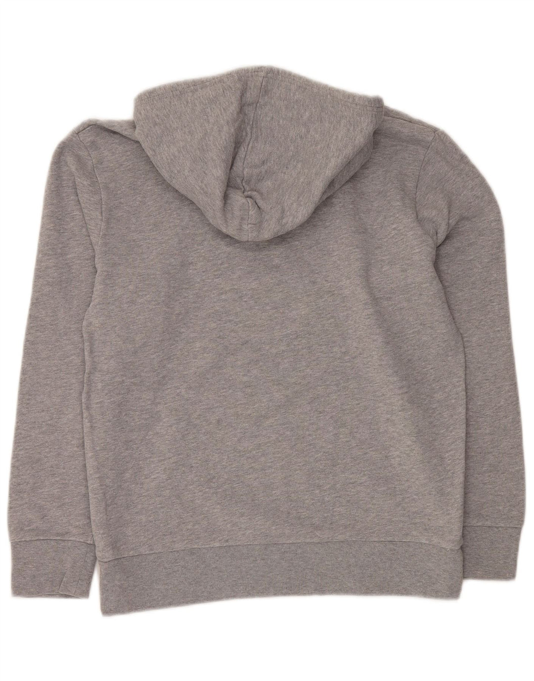 Męski sweter z kapturem i grafiką LEVI'S, średnioszary, bawełniany