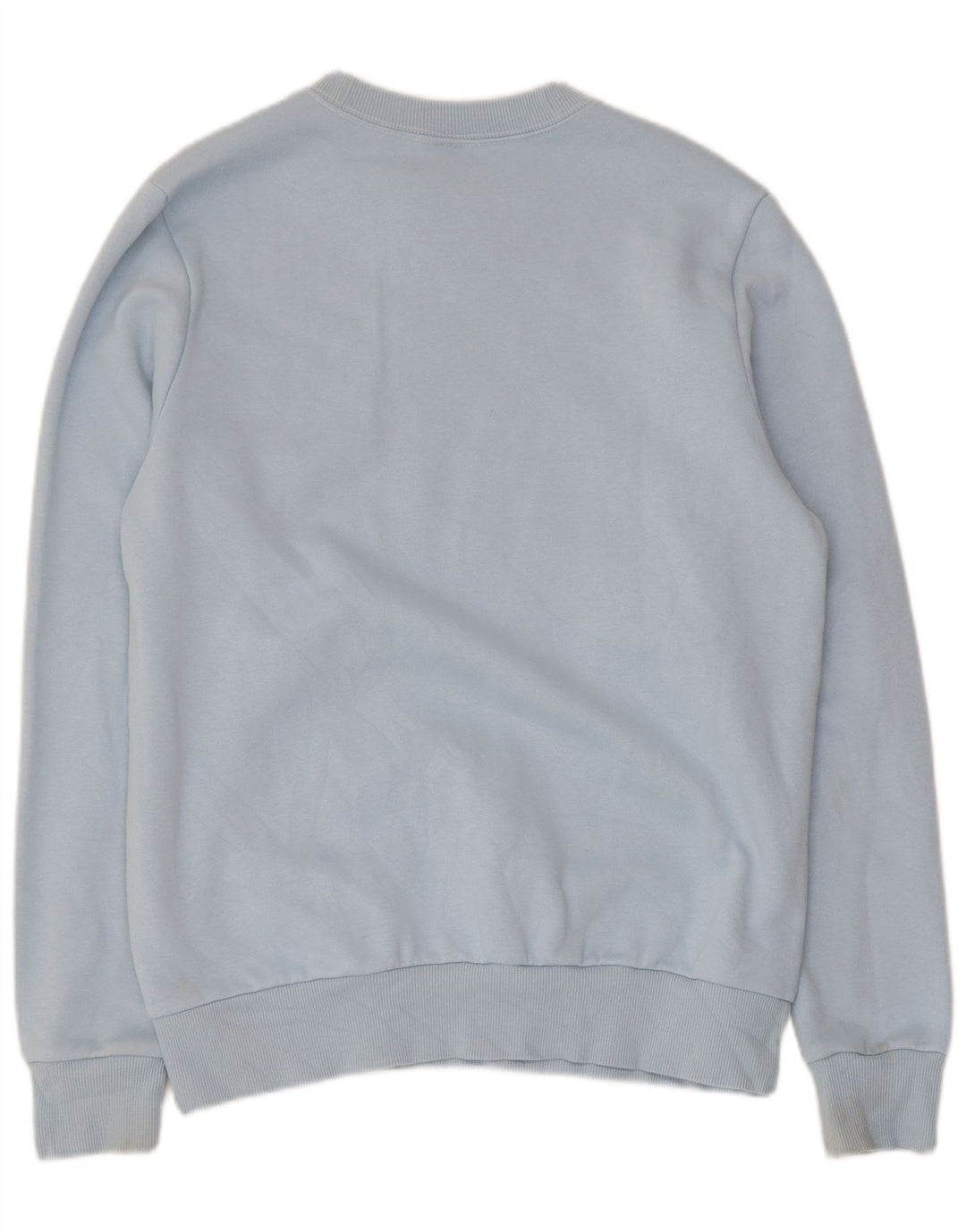 Męska bluza Reebok z grafiką, średnioniebieska, bawełniana