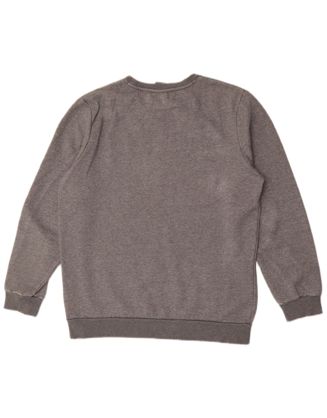 Męska bluza z grafiką Puma, średnioszara, bawełniana