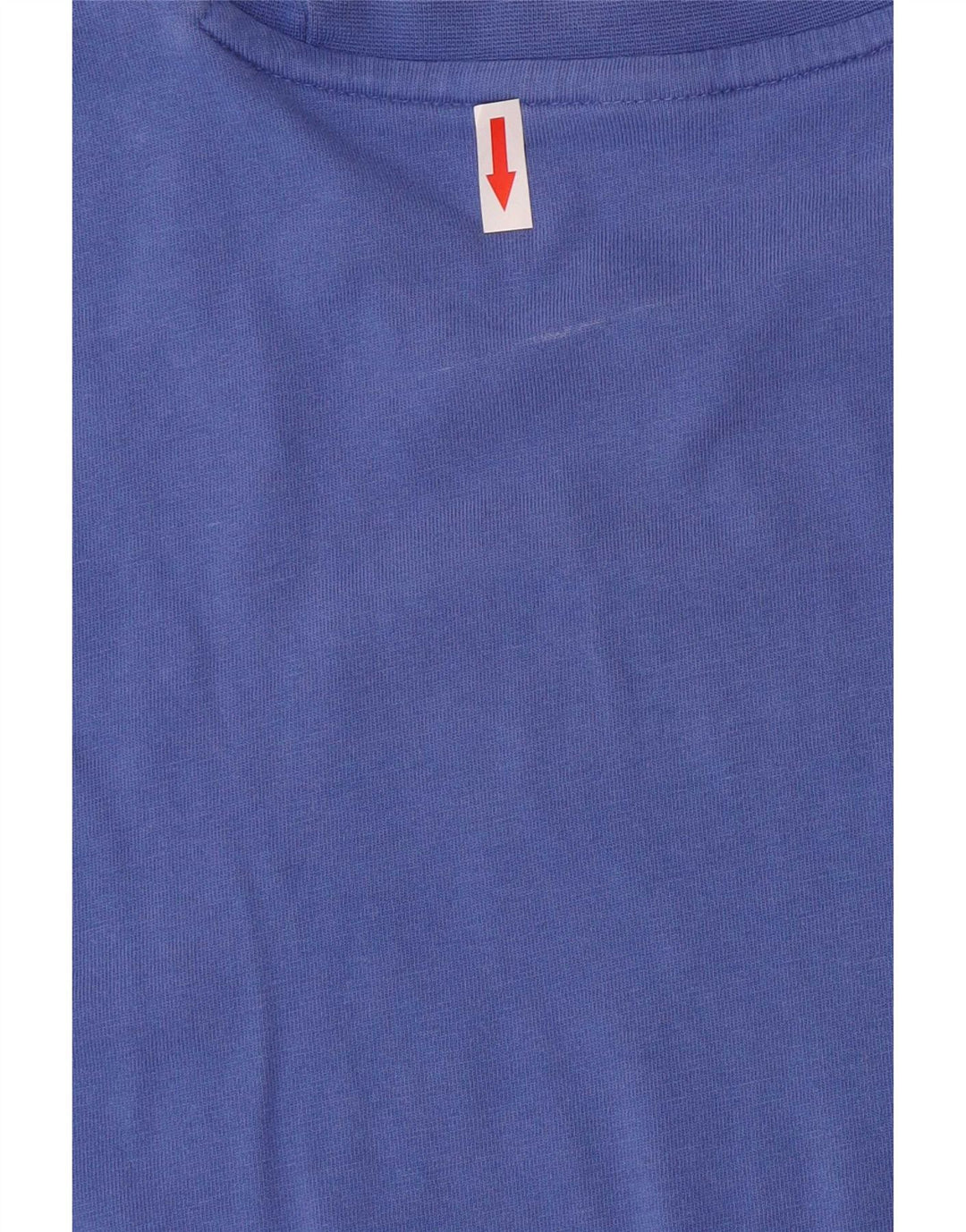 Męska koszulka z grafiką Reebok Top, średnia niebieska, bawełniana