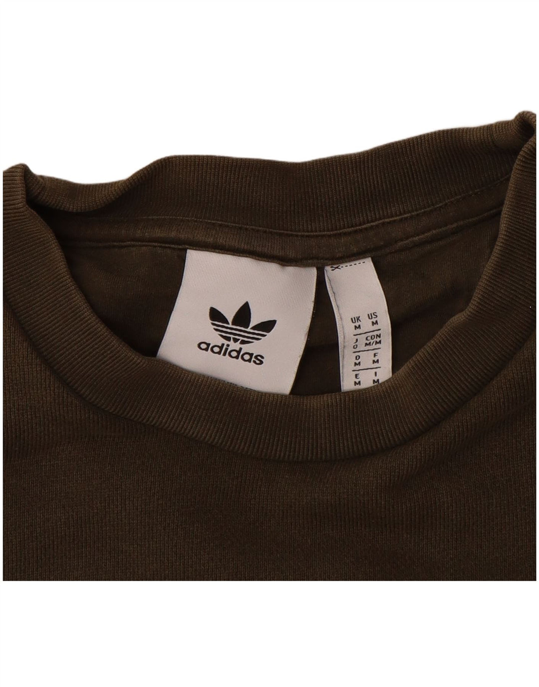 Męska bluza z grafiką ADIDAS, średnia, bawełniana khaki