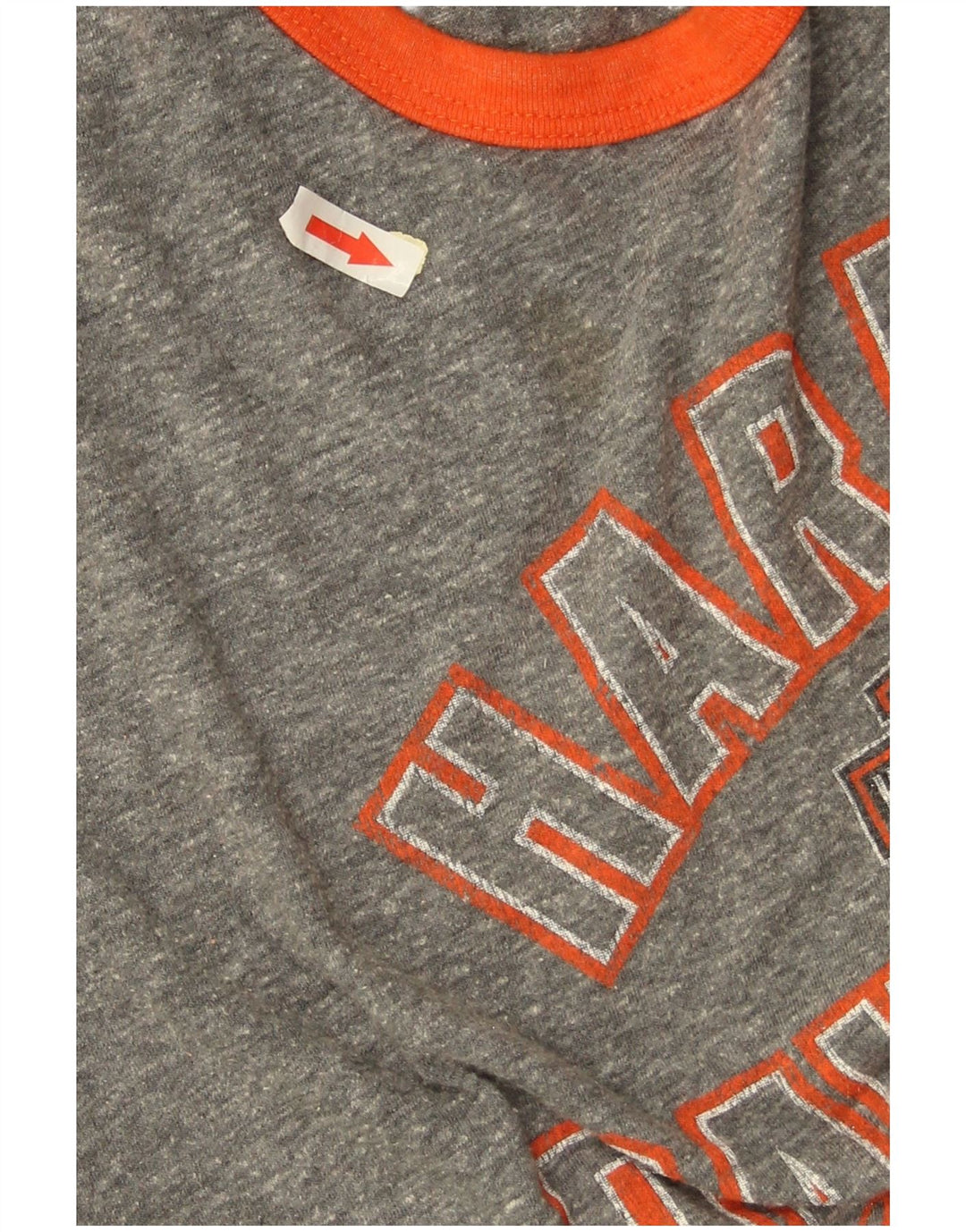Damski top graficzny Harley Davidson z rękawem 3/4, UK 16, duży, szary, z blokami kolorów