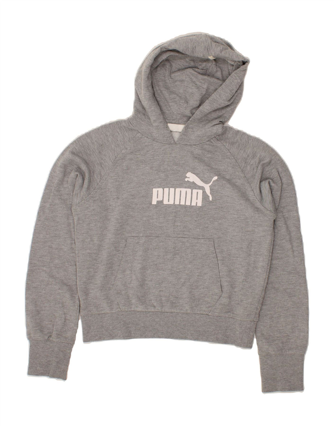 PUMA Womens Graphic Hoodie Jumper UK 14 Medium Grey Vintage Puma and Second-Hand Puma from Messina Hembry 