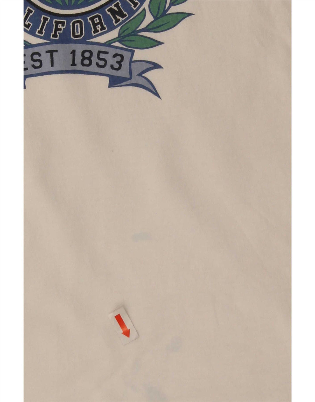 Męski T-shirt z grafiką Levi's, duży, biały, bawełniany