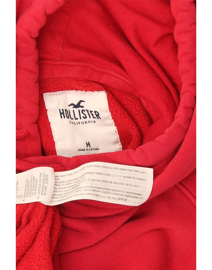 Męski sweter z kapturem Hollister, średnioczerwony, bawełniany