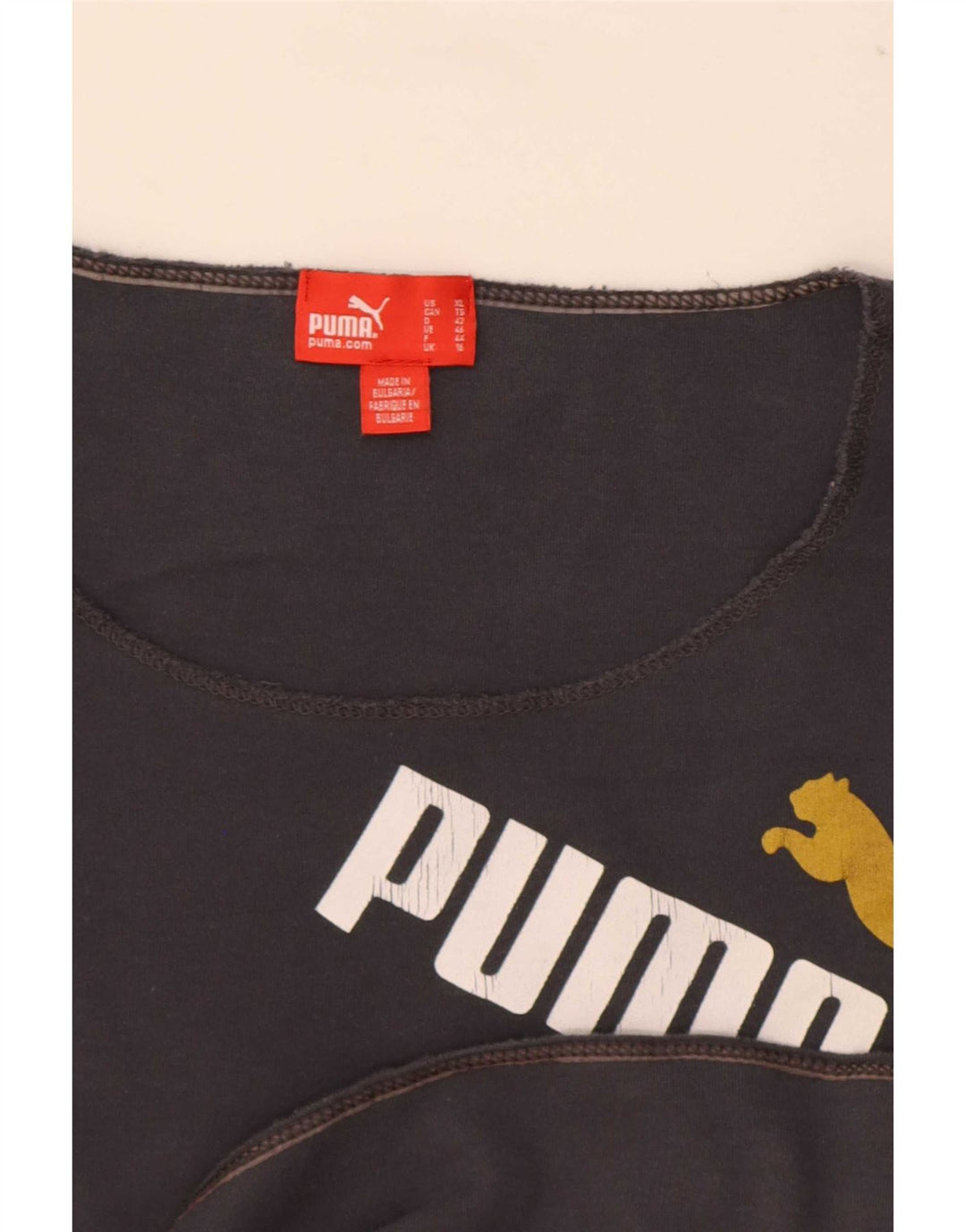 Damska koszulka z grafiką Puma z długim rękawem, UK 16, duża, szara