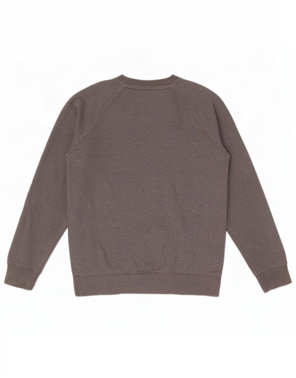Męska bluza z grafiką Calvin Klein Jeans, średnioszara, bawełniana