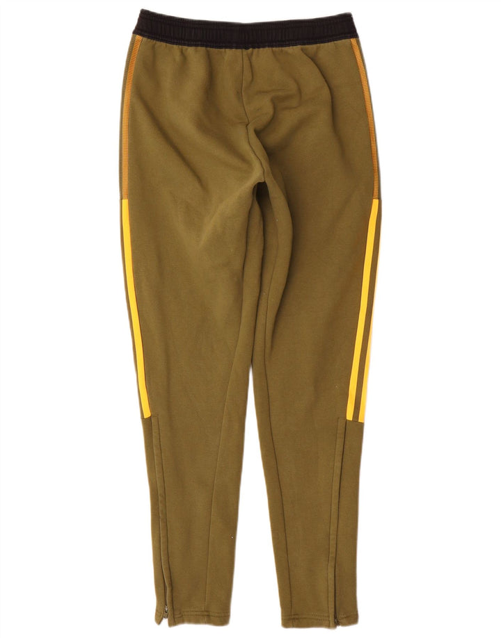 Męskie spodnie dresowe ADIDAS, małe, bawełniane w kolorze khaki