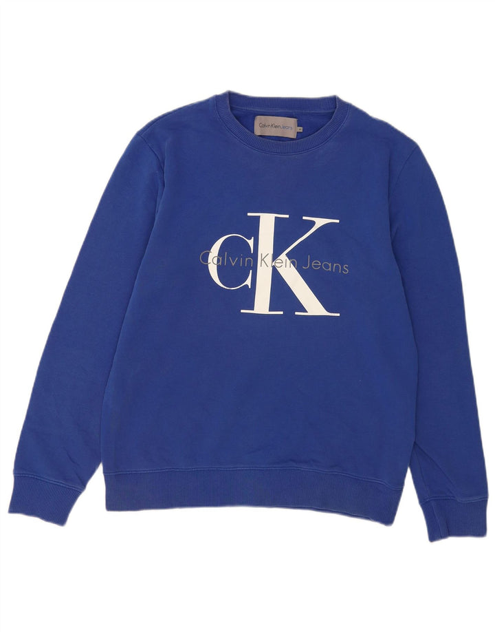 Męska bluza z grafiką Calvin Klein Jeans, średnioniebieska, bawełniana
