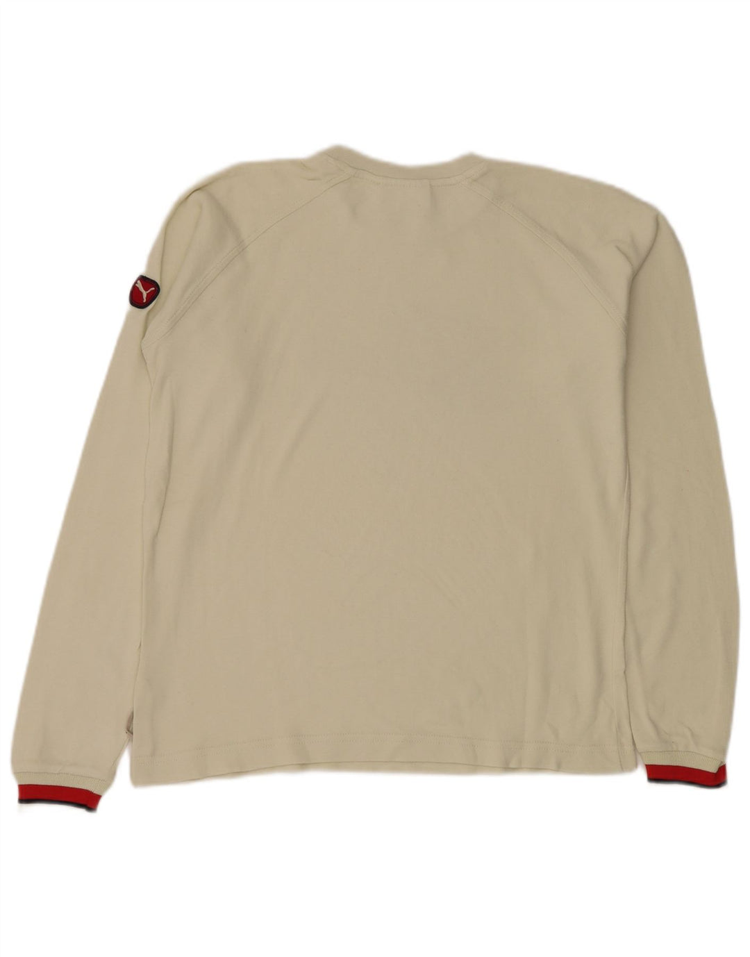 Męski graficzny top Puma z długim rękawem, mały, biały, bawełniany